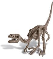 Wykopaliska 4M - Velociraptor
