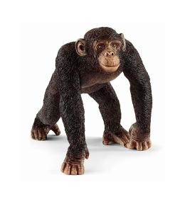 Figurka Schleich Wild Life - Szympans samiec