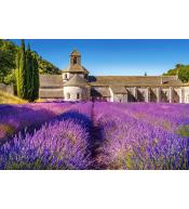 Puzzle Castorland 1000 el. - Lavender Field in Provence, France