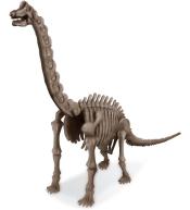 Wykopaliska 4M - Brachiozaur