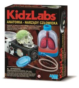 4M KidzLabs Anatomia - Narządy Człowieka