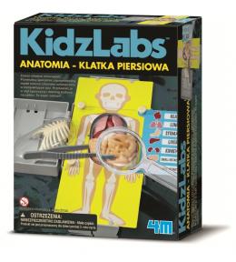 4M KidzLabs Anatomia - Klatka Piersiowa