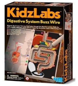 4M KidzLabs - Układ pokarmowy