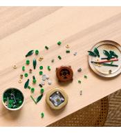 LEGO(R) BOTANICALS 10344 Dracena sandera