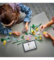 LEGO(R) BOTANICALS 10347 Mały słoneczny bukiet V29