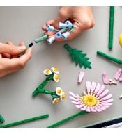 LEGO(R) BOTANICALS 10347 Mały słoneczny bukiet V29