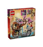 LEGO(R) NINJAGO 71819 Świątynia Smoczego Kamienia