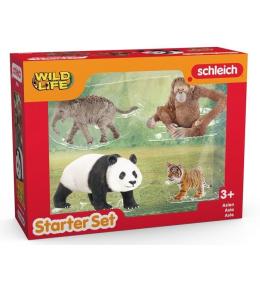 Zestaw startowy Wild Life Azja
