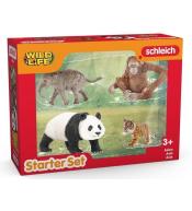 Zestaw startowy Wild Life Azja