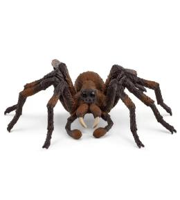 Aragog Wizarding World