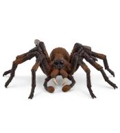 Aragog Wizarding World