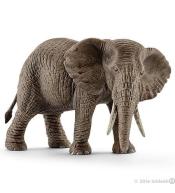 Słoń afrykański samica