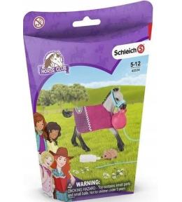 Bawiące się źrebie Horse Club