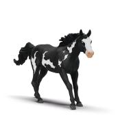 Wałach rasy Paint Horse