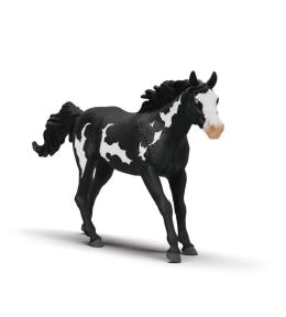Wałach rasy Paint Horse