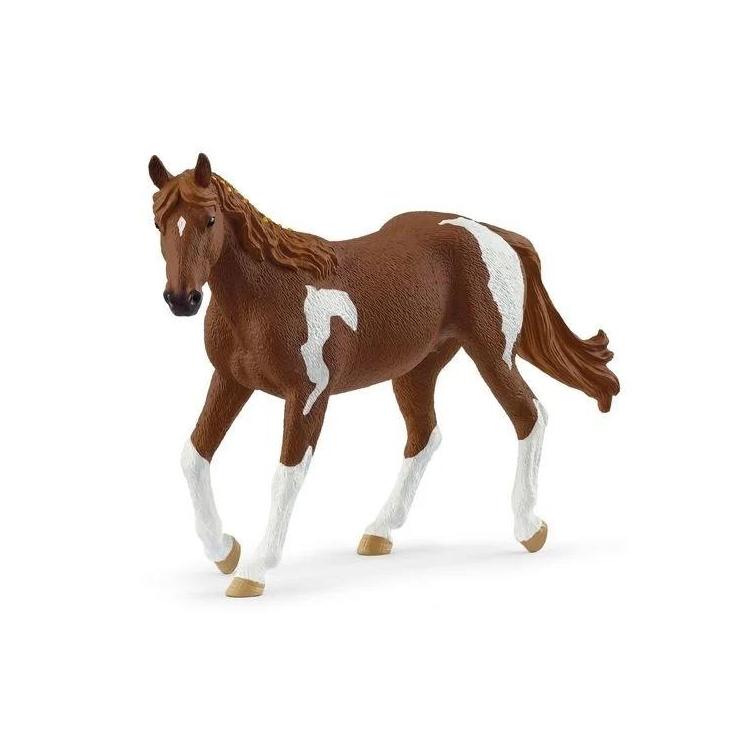 Klacz rasy Paint Horse