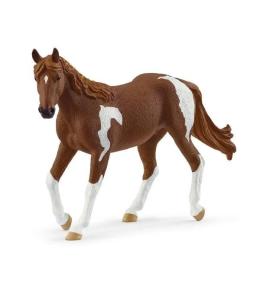 Klacz rasy Paint Horse