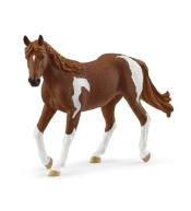 Klacz rasy Paint Horse