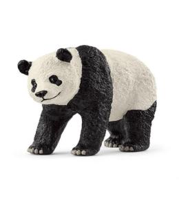 Panda Wielka