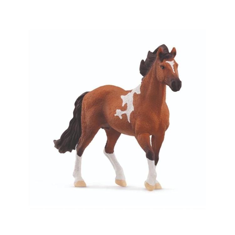 Ogier rasy mangalarga marchador