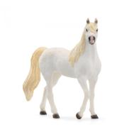 Klacz czystej krwi arabskiej