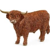 Highland Bull