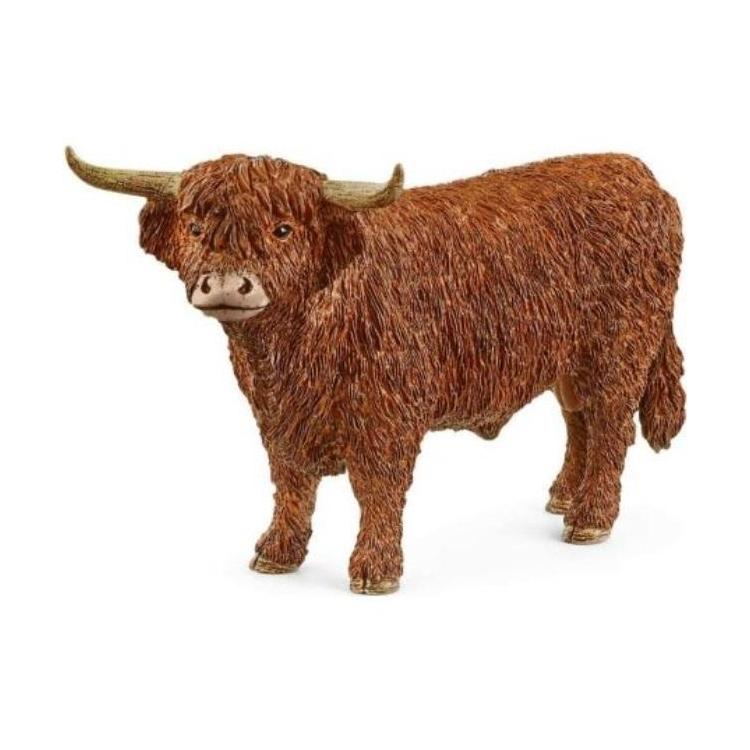 Highland Bull