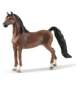 Wałach rasy Saddlebred