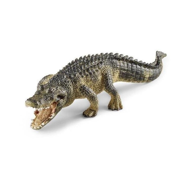 Aligator