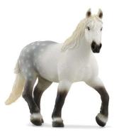 Klacz rasy Perszeron