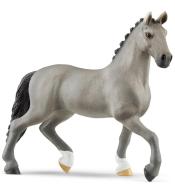 Ogier rasy cheval de selle francais