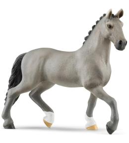 Ogier rasy cheval de selle francais