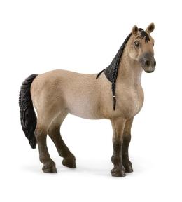 Klacz criollo definitivo