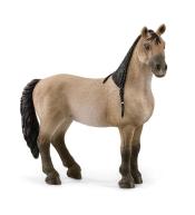 Klacz criollo definitivo