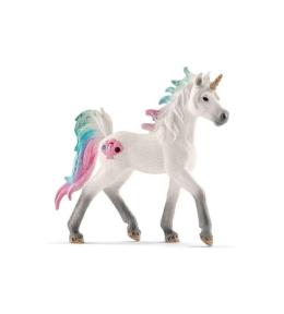 Morski jednorożec źrebię