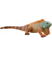 Iguana