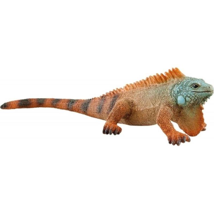 Iguana