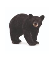 Niedźwiedź czarny