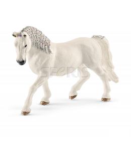 Klacz rasy Lipicańskiej