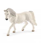 Klacz rasy Lipicańskiej