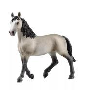 Klacz rasy cheval de selle francais