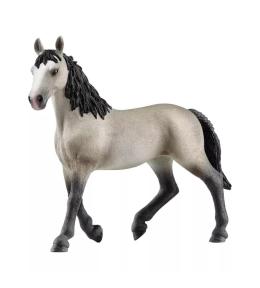 Klacz rasy cheval de selle francais