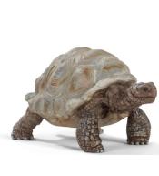 Żółw gigant saszetka