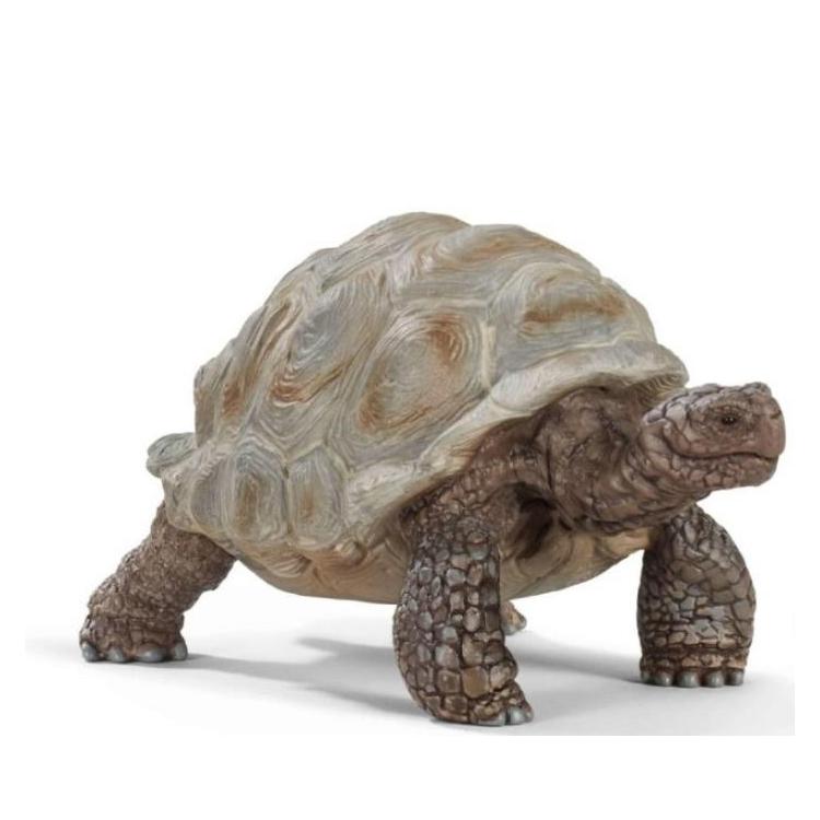 Żółw gigant saszetka