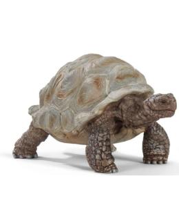 Żółw gigant saszetka