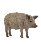 Świnia Mangalica