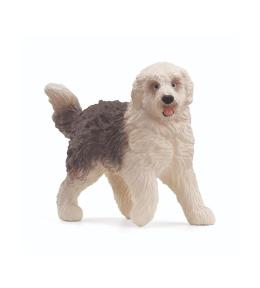 Owczarek staroangielski