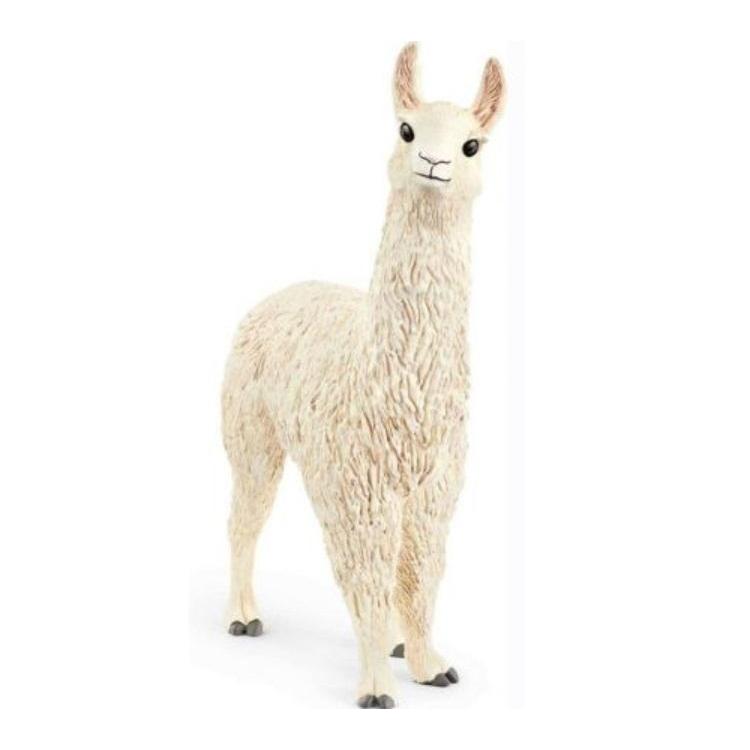 Lama