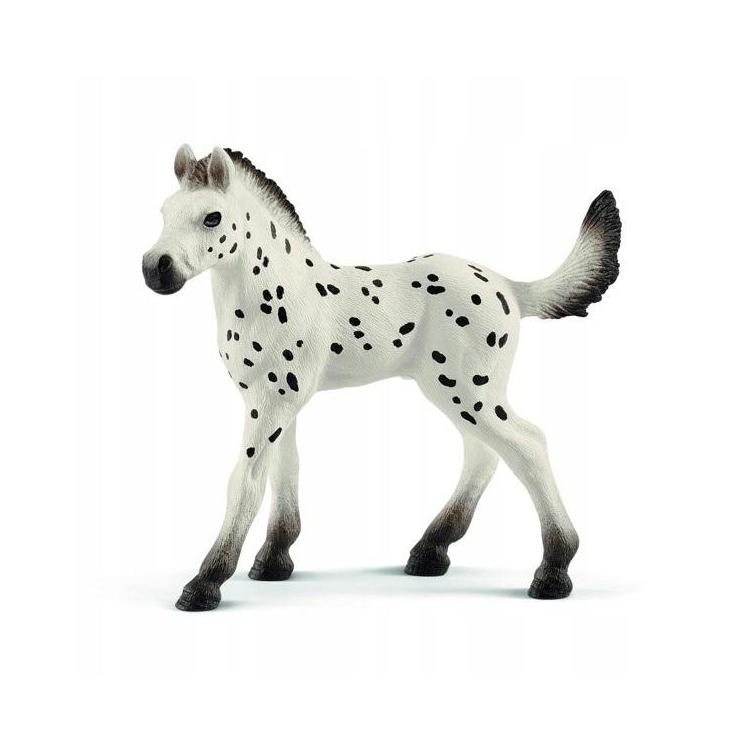 Źrebię rasy Knapstrupper Foal