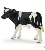 Cielę rasy Holstein